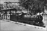 /Bilder/150x150/172/Liliputbahn Liliputbahn-1955 0673