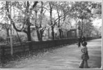 /Bilder/150x150/332/august 329