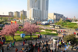 Vienna City Marathon