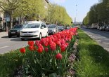 Weg zum Prater