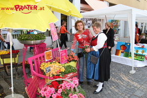 Stuwerviertel Fest