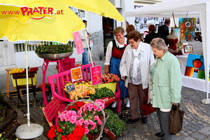 Stuwerviertel Fest