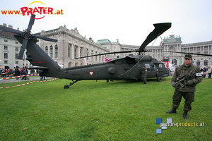 Bundesheer am Wiener Heldenplatz