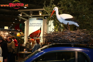 Ferien-Messe-08