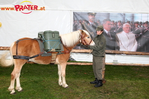 Bundesheer am Heldenplatz