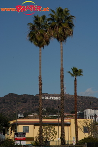 Hollywood