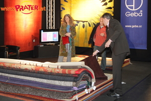 Messe Wohnen Interieur 2008