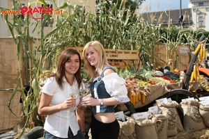 Bauernfest-08