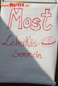 Volksstimme-Fest-08