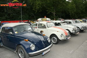 VW-Käfer