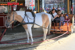 Prater Frühling