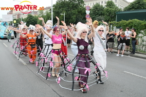 Regenbogenparade 2008