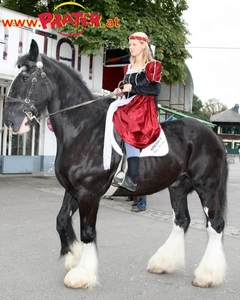 Ritterfest