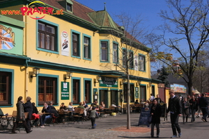 Prater Frühling