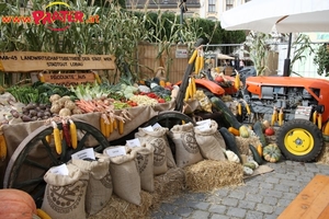 Bauernfest-08