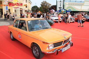 Rallye de Vienna