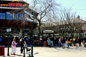 Prater Frühling