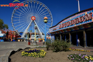 Prater Frühling