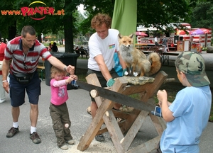 Ferienspiel
