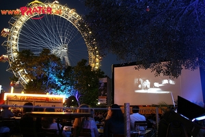 Filfestival