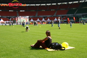 75-Jahre-Stadion