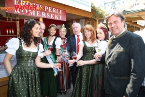 Steiermark in Wien