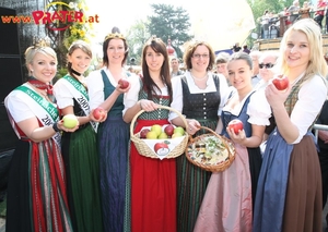 Steiermark in Wien