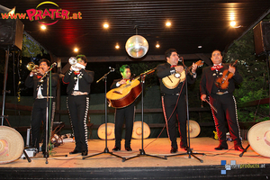 Los Mariachis