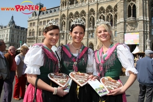 Steiermark in Wien