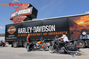 Harley Days