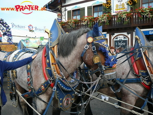 Oktoberfest München 09