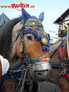 Oktoberfest München 09