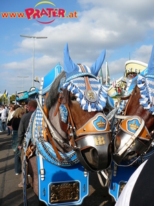 Oktoberfest München 09