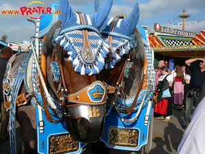 Oktoberfest München 09