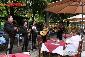 Los Mariachis