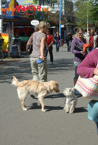 Kinderflohmarkt