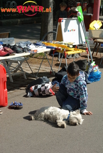 Kinderflohmarkt