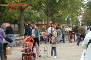 Kinderflohmarkt