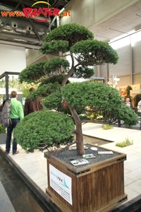 Interieur-2010