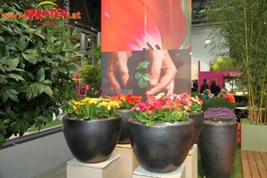 Interieur-2010