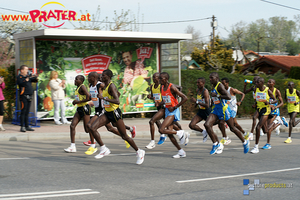 Vienna City Marathon 2010