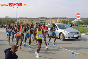 Vienna City Marathon 2010