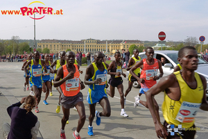 Vienna City Marathon 2010