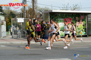 Vienna City Marathon 2010