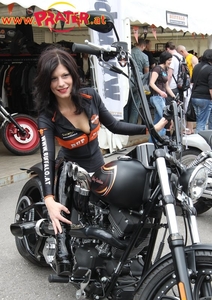 Harley Days 2010