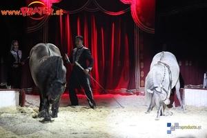 Circus Louis Knie