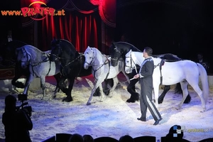 Circus Louis Knie