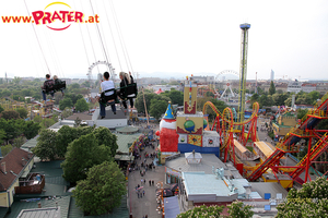 Maifest