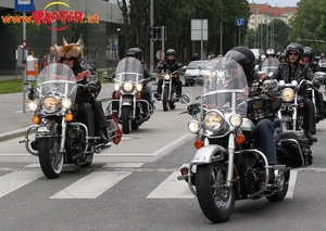 Harley Days 2010