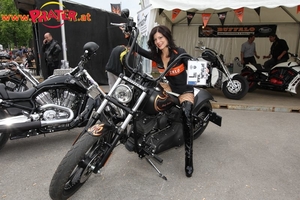 Harley Days 2010